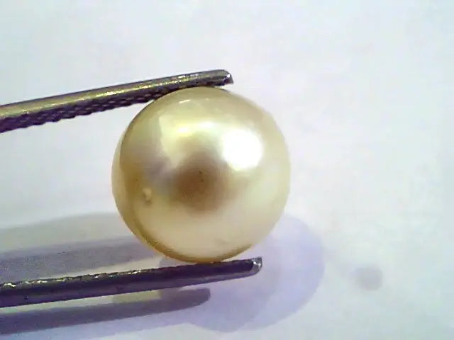 8.00 Carat Natural Certified Real South Sea Pearl,Certified Moti