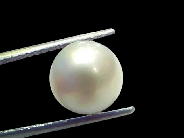 7.48 Ct Natural Certified Real South Sea Pearl Certified Moti - Venus Gems