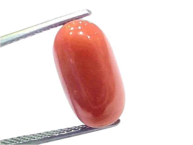 7.92 Ct 8.7 Ratti Natural Untreated Italian Red Coral Moonga Gems - Venus Gems