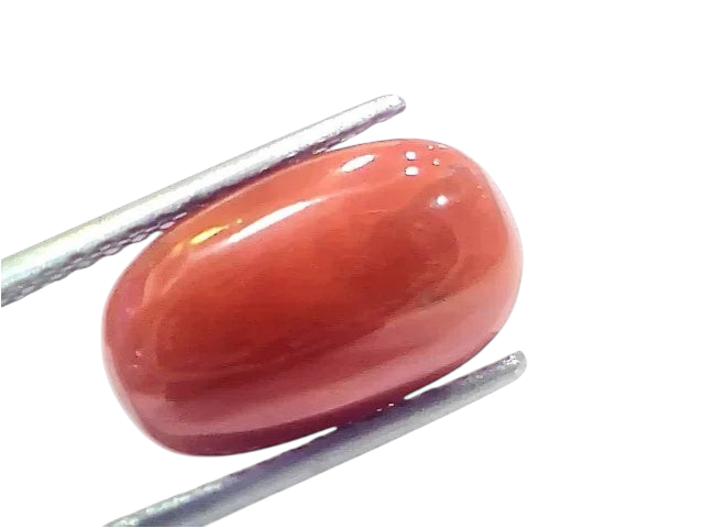 7.30 Ct 8.1 Ratti Natural Untreated Italian Red Coral Moonga Gems - Venus Gems