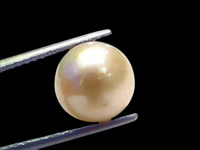 7.64 Ct Natural Certified Real South Sea Pearl Certified Moti - Venus Gems