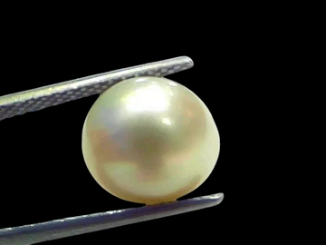 7.38 Ct Natural Certified Real South Sea Pearl Certified Moti - Venus Gems