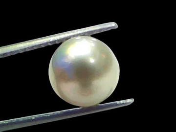 7.19 Ct Natural Certified Real South Sea Pearl Certified Moti - Venus Gems