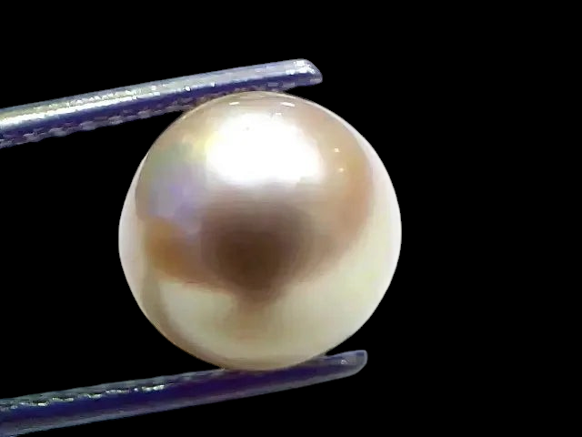 7.42 Ct Natural Certified Real South Sea Pearl Certified Moti - Venus Gems