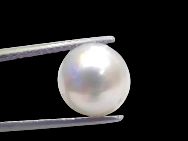 7.80 Ct Natural Certified Real South Sea Pearl Certified Moti - Venus Gems