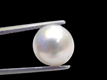 7.80 Ct Natural Certified Real South Sea Pearl Certified Moti - Venus Gems
