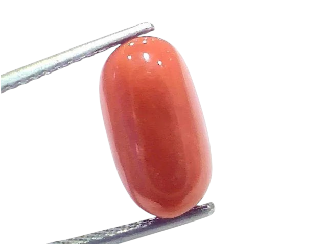7.92 Ct 8.7 Ratti Natural Untreated Italian Red Coral Moonga Gems - Venus Gems