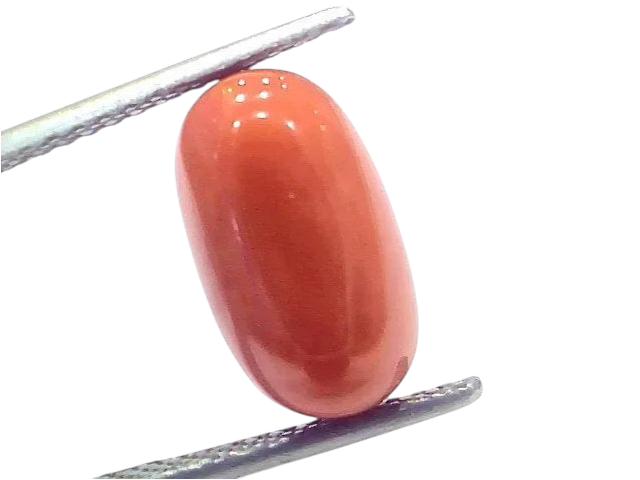 7.60 Ct 8.4 Ratti Natural Untreated Italian Red Coral Moonga Gems - Venus Gems