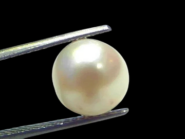 7.31 Ct Natural Certified Real South Sea Pearl Certified Moti - Venus Gems