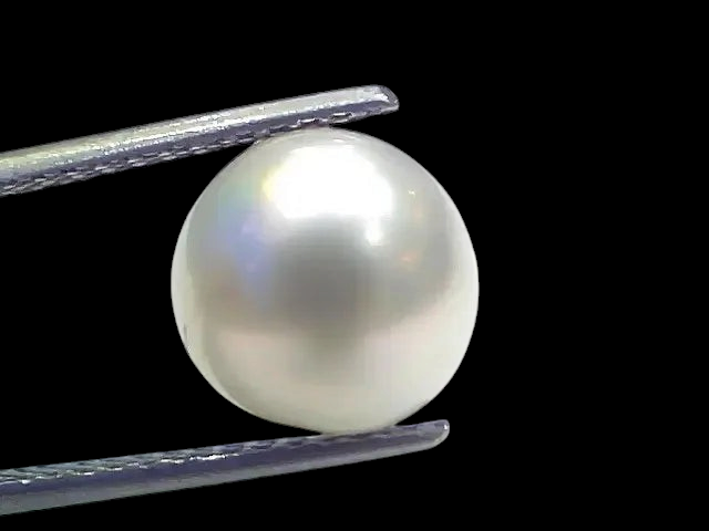 7.49 Ct Natural Certified Real South Sea Pearl Certified Moti - Venus Gems