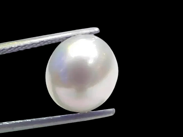 7.55 Ct Natural Certified Real South Sea Pearl Certified Moti - Venus Gems