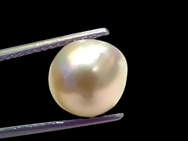 7.33 Ct Natural Certified Real South Sea Pearl Certified Moti - Venus Gems