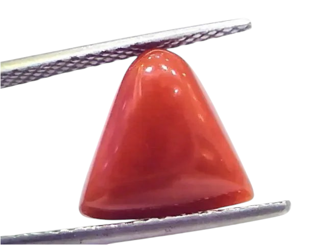 7.13 Ct 7.92 Ratti Natural Italian Triangle Red Coral Moonga Gemstone - Venus Gems