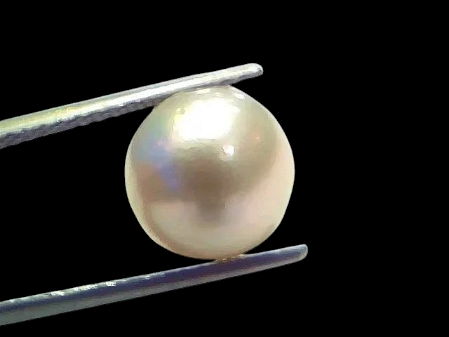 7.75 Ct Natural Certified Real South Sea Pearl Certified Moti - Venus Gems
