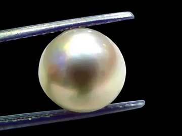 7.63 Ct Natural Certified Real South Sea Pearl Certified Moti - Venus Gems