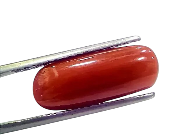 7.72 Ct 8.57 Ratti Natural Italian Red Coral Moonga Gemstone - Venus Gems