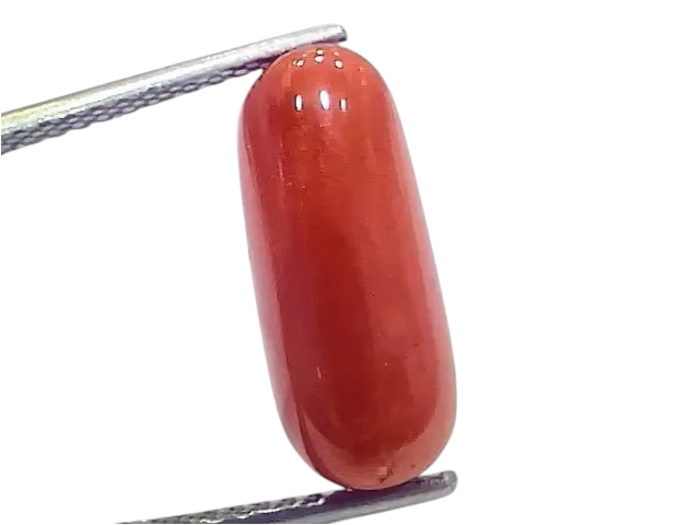 7.14 Ct 7.93 Ratti Natural Italian Red Coral Moonga Gemstone - Venus Gems