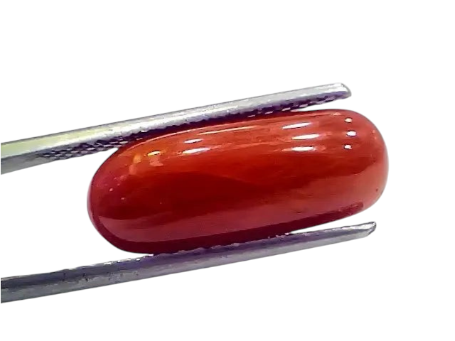 7.72 Ct 8.57 Ratti Natural Italian Red Coral Moonga Gemstone - Venus Gems