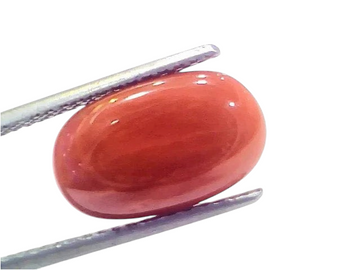 7.30 Ct 8.1 Ratti Natural Untreated Italian Red Coral Moonga Gems - Venus Gems