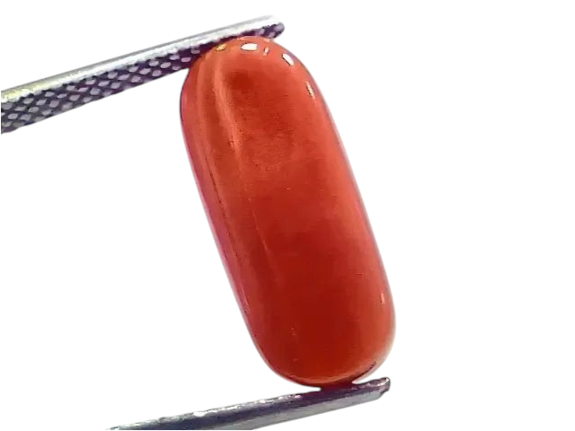 7.14 Ct 7.93 Ratti Natural Italian Red Coral Moonga Gemstone - Venus Gems