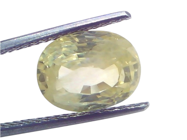 7.30 Ct Certified Unheated Natural Ceylon Yellow Sapphire Pukhraj – 8 Ratti, oval-shaped gemstone held by tweezers, showcasin