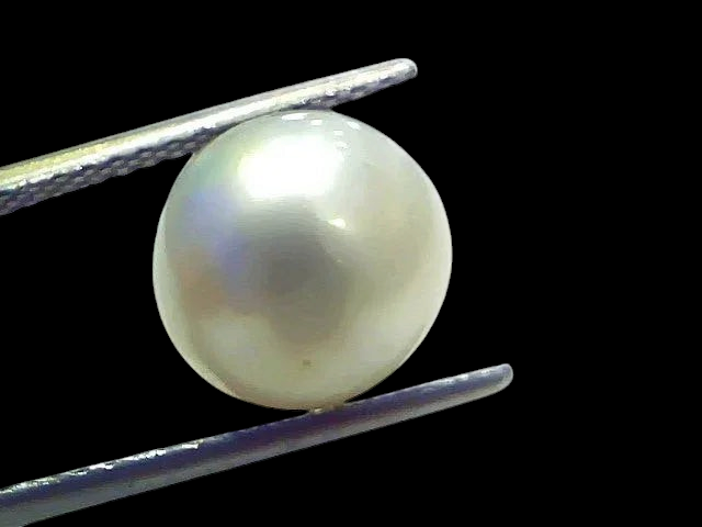 7.85 Ct Natural Certified Real South Sea Pearl Certified Moti - Venus Gems