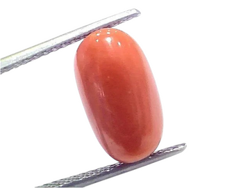 7.60 Ct 8.4 Ratti Natural Untreated Italian Red Coral Moonga Gems - Venus Gems