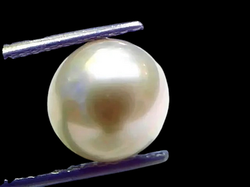 7.88 Ct Natural Certified Real South Sea Pearl Certified Moti - Venus Gems