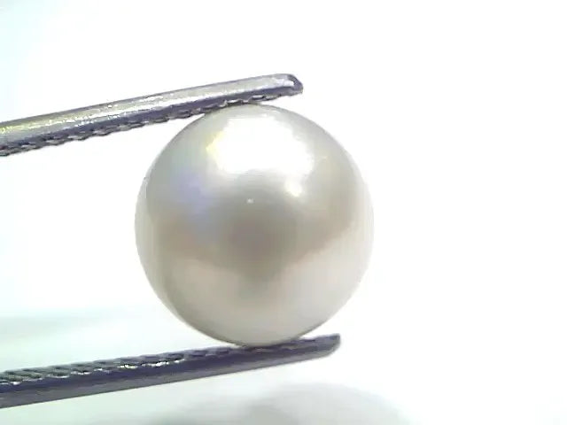 7.99 Ct Natural Certified Real South Sea Pearl Certified Moti - Venus Gems