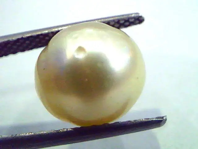 8.04 Carat Natural Certified Real South Sea Pearl,Certified Moti