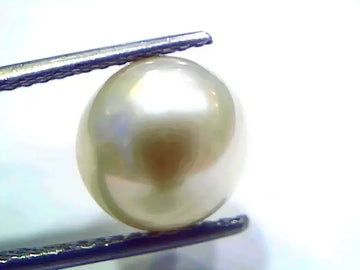 8.11 Ct Natural Certified Real South Sea Pearl Certified Moti
