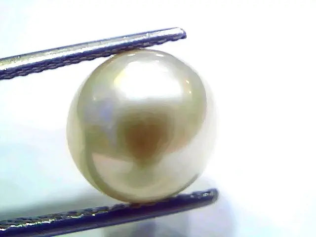 8.11 Ct Natural Certified Real South Sea Pearl Certified Moti