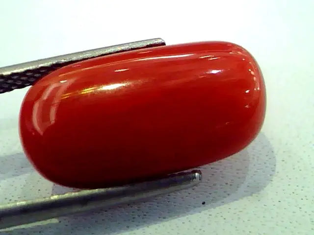 8.16 Ct Premium Natural Italian Red Coral,Real Moonga Gemstone AAA