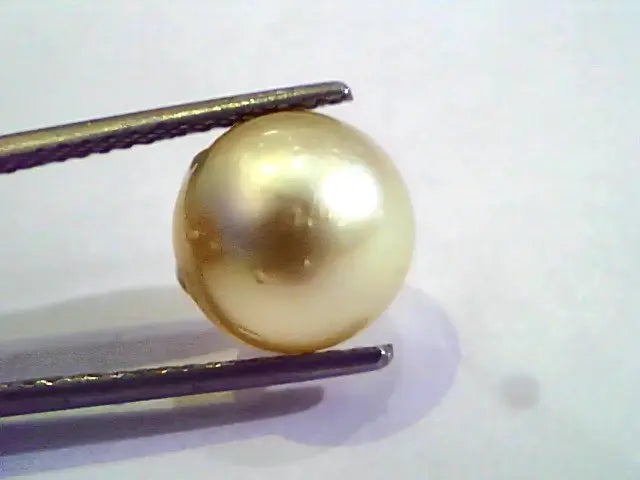 8.17 Carat Natural Certified Real South Sea Pearl,Certified Moti