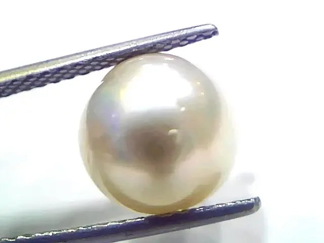 8.19 Ct Natural Certified Real South Sea Pearl Certified Moti - Venus Gems