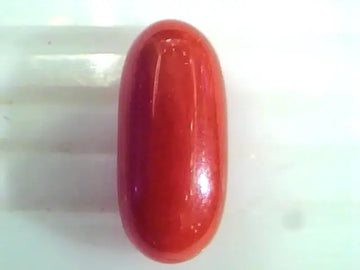 8.19 Ct Untreated Natural Premium Italian Red Coral Gemstone AAA