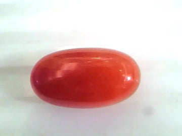 8.18 Ct Untreated Natural Premium Italian Red Coral Gemstone AAA