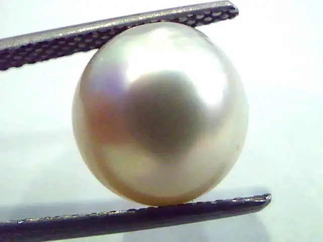 8.26 Carat Natural Certified Real South Sea Pearl,Certified Moti