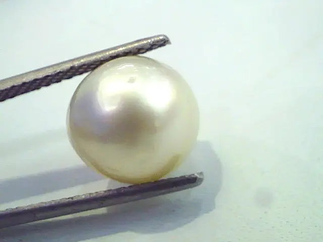 8.22 Carat Natural Certified Real South Sea Pearl,Certified Moti