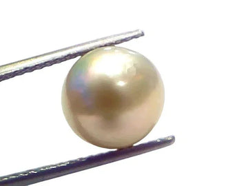 8.27 Ct Natural Certified Real South Sea Pearl Certified Moti - Venus Gems