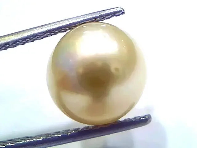8.19 Ct Natural Certified Real South Sea Pearl Certified Moti - Venus Gems