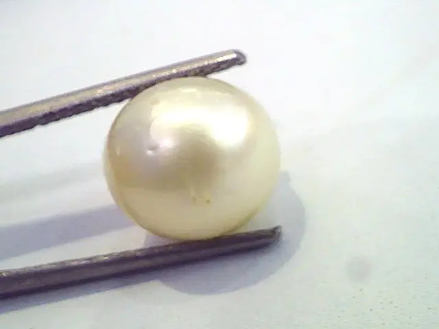 8.27 Carat Natural Certified Real South Sea Pearl,Certified Moti