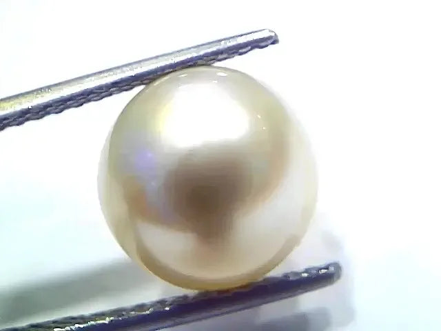 8.20 Ct Natural Certified Real South Sea Pearl Certified Moti - Venus Gems