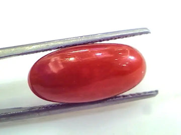 8.46 Ct Untreated Natural Premium Italian Red Coral Gemstone AAA
