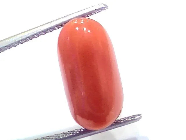 8.49 Ct 9.4 Ratti Natural Untreated Italian Red Coral Moonga Gems - Venus Gems