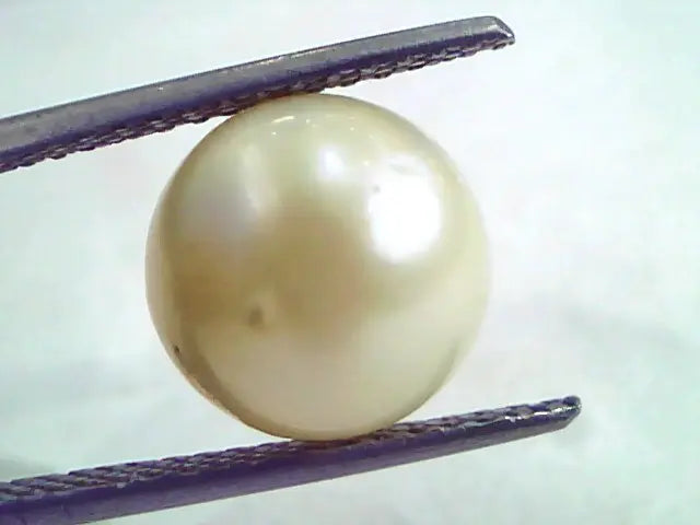 8.53 Carat Natural Certified Real South Sea Pearl,Certified Moti