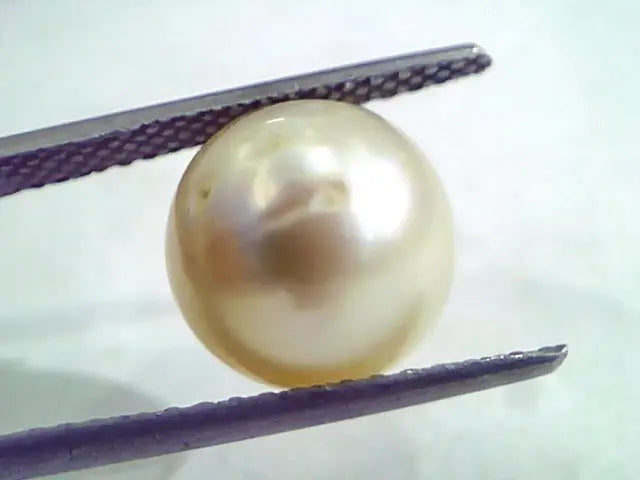 8.55 Carat Natural Certified Real South Sea Pearl,Certified Moti