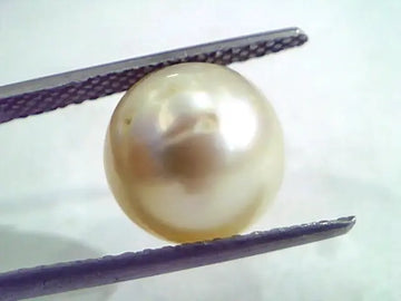 8.55 Carat Natural Certified Real South Sea Pearl,Certified Moti