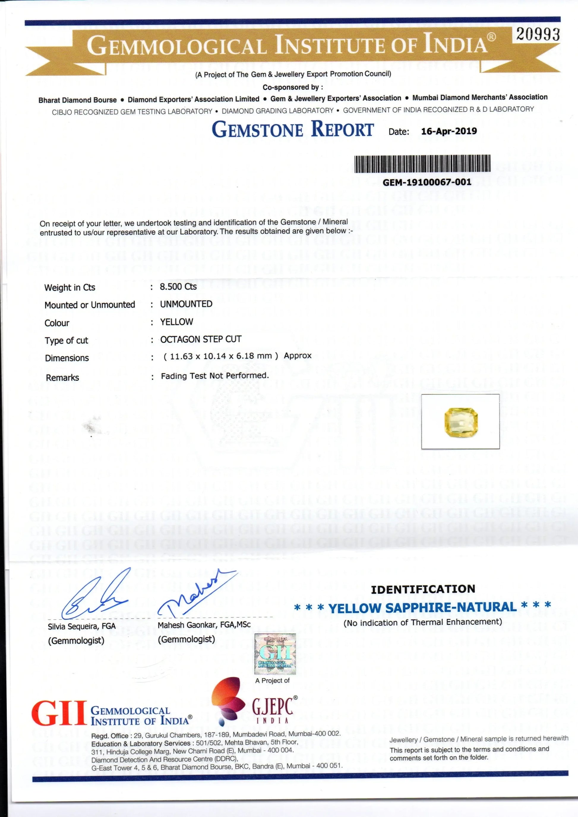 8.50 Ct GII Certified Unheated Untreated Natural Ceylon Yellow Sapphire - Venus Gems