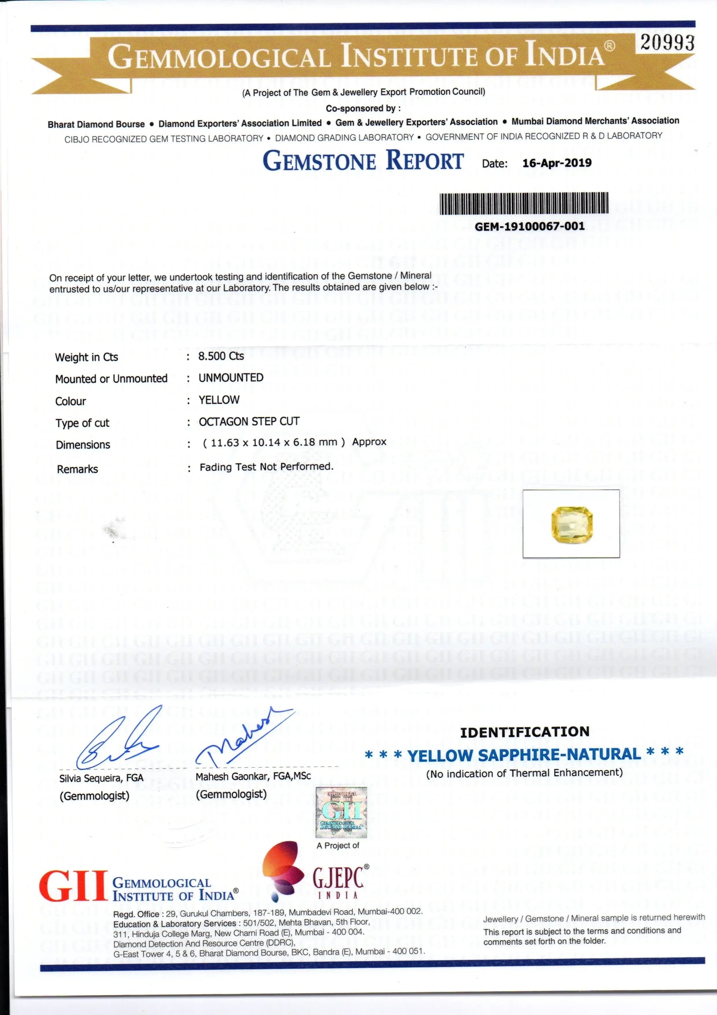 8.50 Ct GII Certified Unheated Untreated Natural Ceylon Yellow Sapphire - Venus Gems